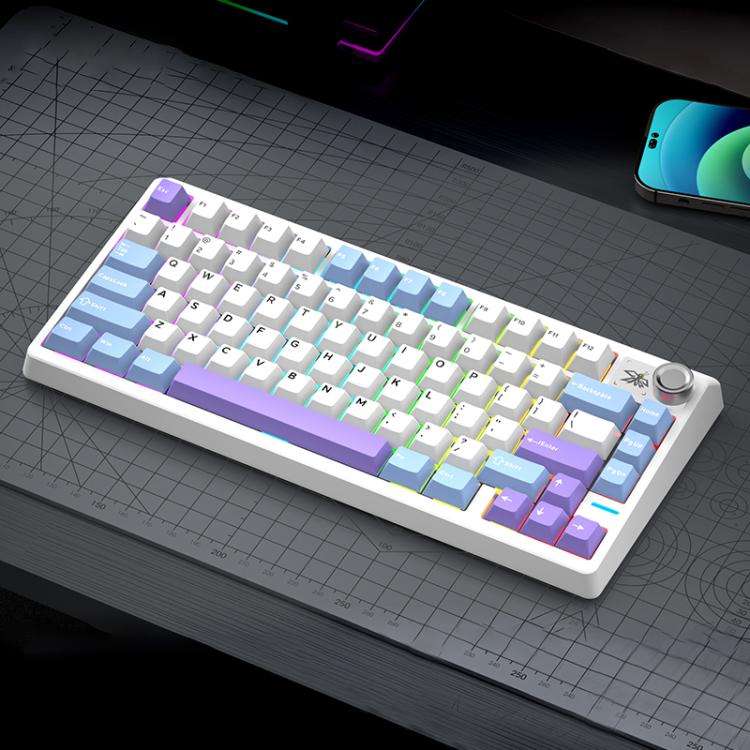 SHIPADOO JK750 Blue Switch RGB 79 Keys Three Modes Mechanical Keyboard