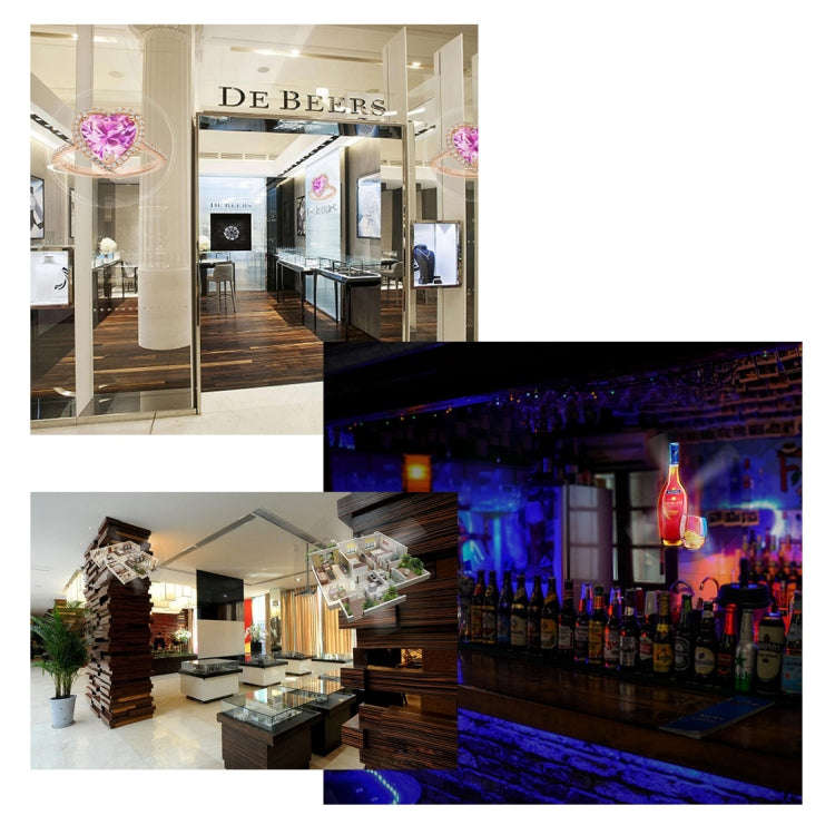 224 LEDs Hologram Holographic Display Fan with Remote Control, Support 4GB Micro SD Card, AC 100-...