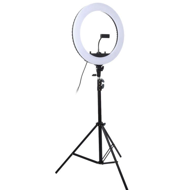 18 inch 55W Two-speed Dimmable Anchor Photography Self-timer LED Ring Fill-in Light with Tripod, ...