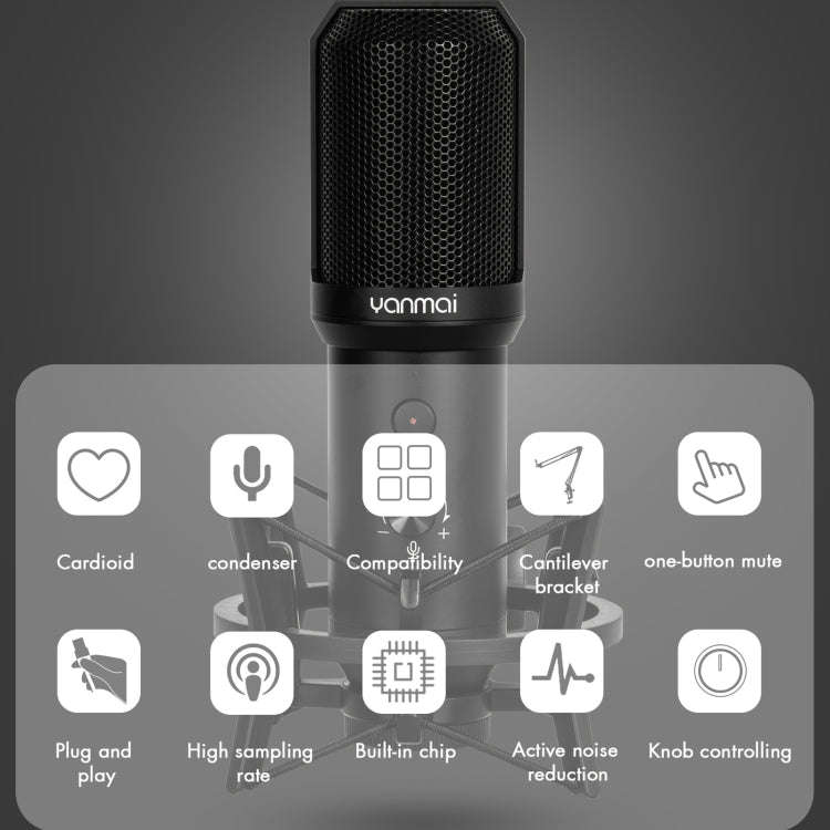 Yanmai Q10B USB Recording Microphone Kit, Q10B
