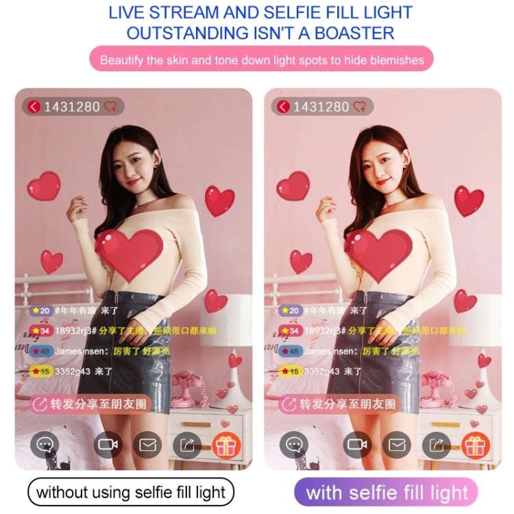 RK39 Portable Tri-color Adjustable Brightness Double Arms Fill Light with Phone Clip