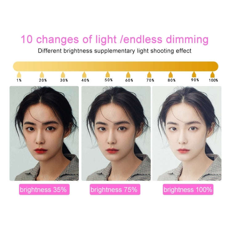 RK39 Portable Tri-color Adjustable Brightness Double Arms Fill Light with Phone Clip