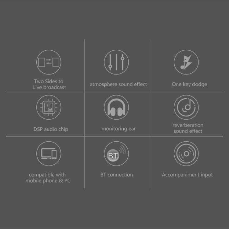 RK-C21 Bluetooth Live Broadcast Audio Headset Microphone Webcast Entertainment Streamer Sound Car...