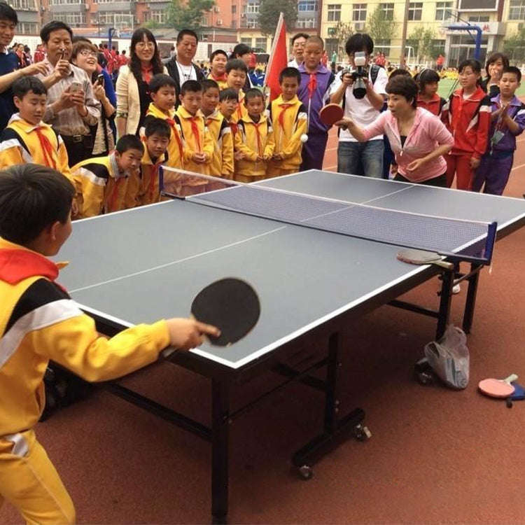 4 in 1 Table Tennis Racket + Table Tennis + Net + Rack Set, 4 in 1