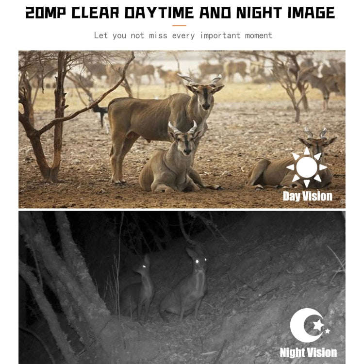 PR700 1080P Wildlife Hunting Camera Motion Activated Night Vision Camcorder for Outdoor Tracking ...