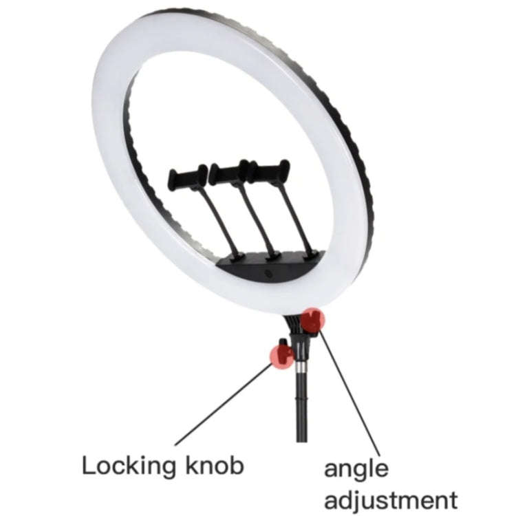 JMARY FM-21R With Remote Control Phone Clip 21-inch Dimmable LED Ring Light, US Plug, EU Plug