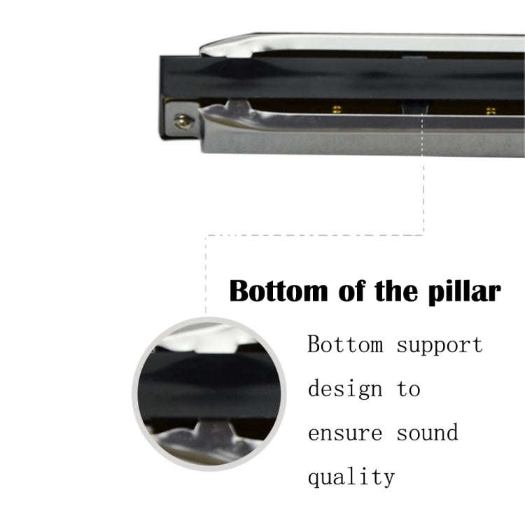 Swan 2 PCS 10 Holes Full-scale Bruce Harmonica Beginner Children Adult Students Playing Musical I...