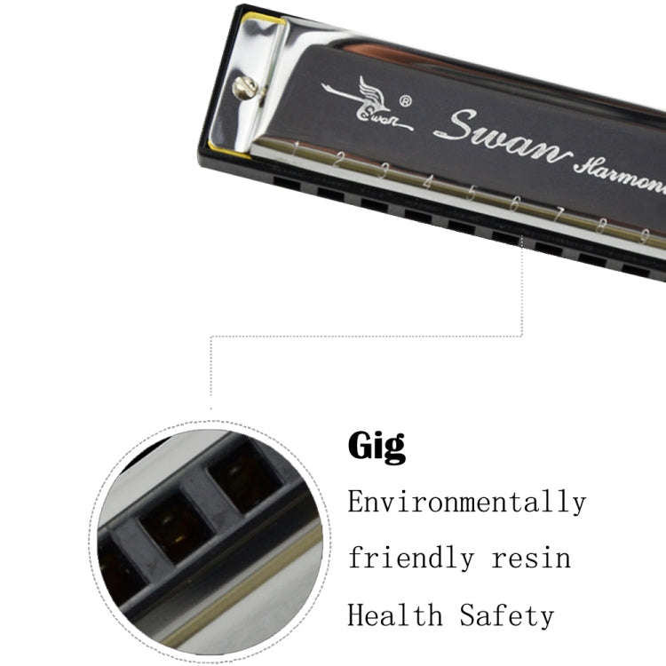Swan 2 PCS 10 Holes Full-scale Bruce Harmonica Beginner Children Adult Students Playing Musical I...