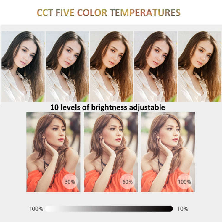 RGB Fill Light Photography Lamp With Hidden Folding Phone Clip & Cold Shoe Interface