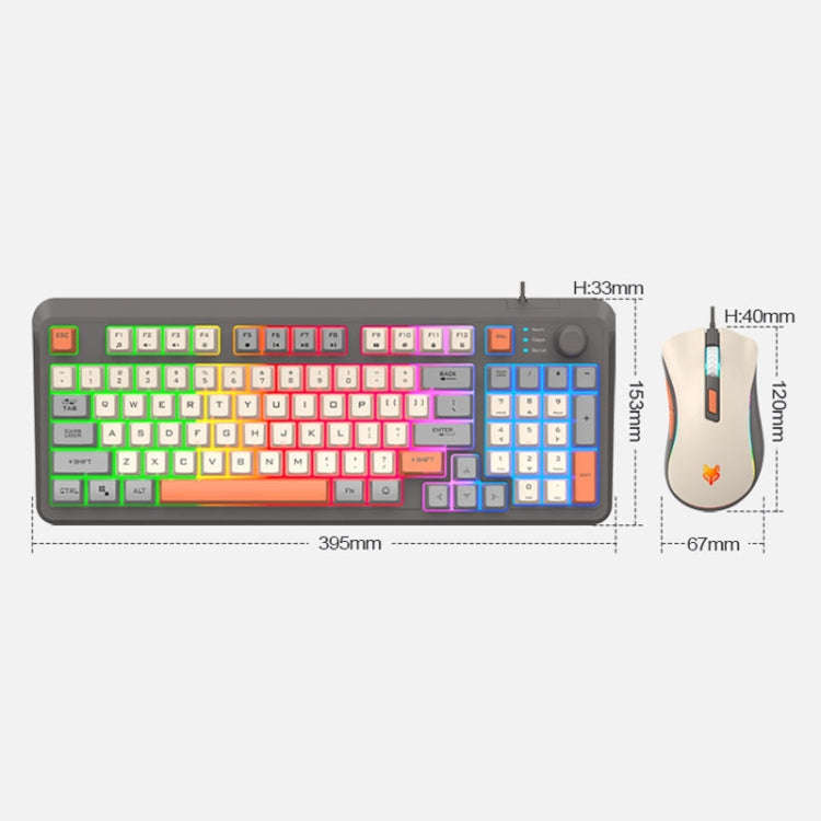 XUNSVFOX K820 Wired Gaming Mechanical Feeling 94 Keys Keyboard And Mouse Set