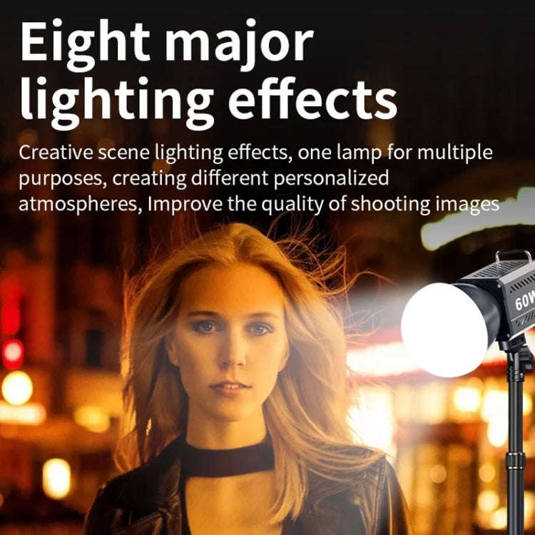 Desiontal ZU-60 60W Hand-Held Camera Light High Power Fill Light, EU Plug, ZU-60