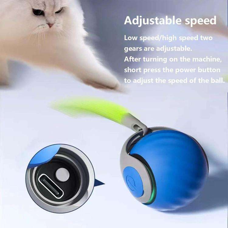 Smart Self Rolling Ball Interactive Cat Toys USB Rechargeable Cat Ball Two Speed Adjustment, TUTU...