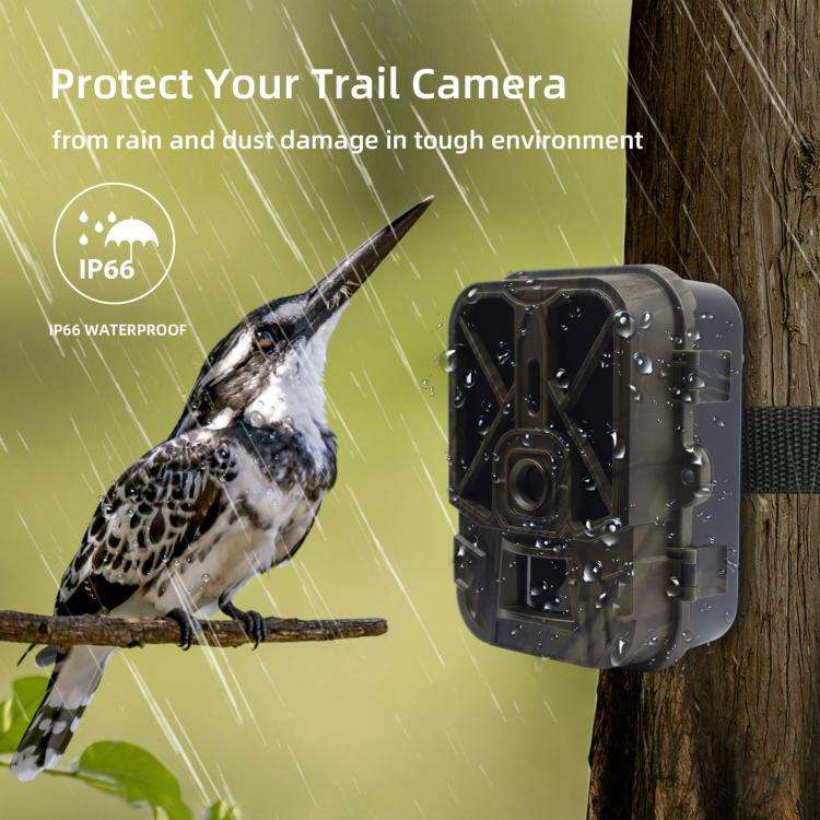 4K 120MP Infrared Hunting Camera Support APP Remote Mobile Viewing Photos / Videos, WiFi940Pro-Li
