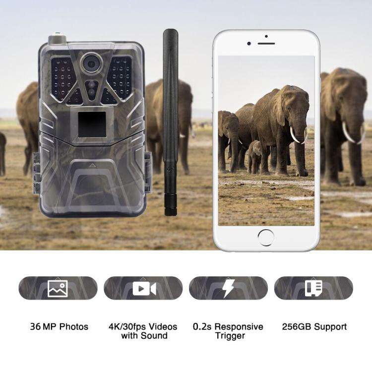 4K 4G Hunting Camera With APP Supports FTP / Email / LIVE VIDEO, HC-910Pro