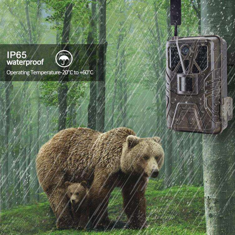 4K 4G Hunting Camera With APP Supports FTP / Email / LIVE VIDEO, HC-910Pro