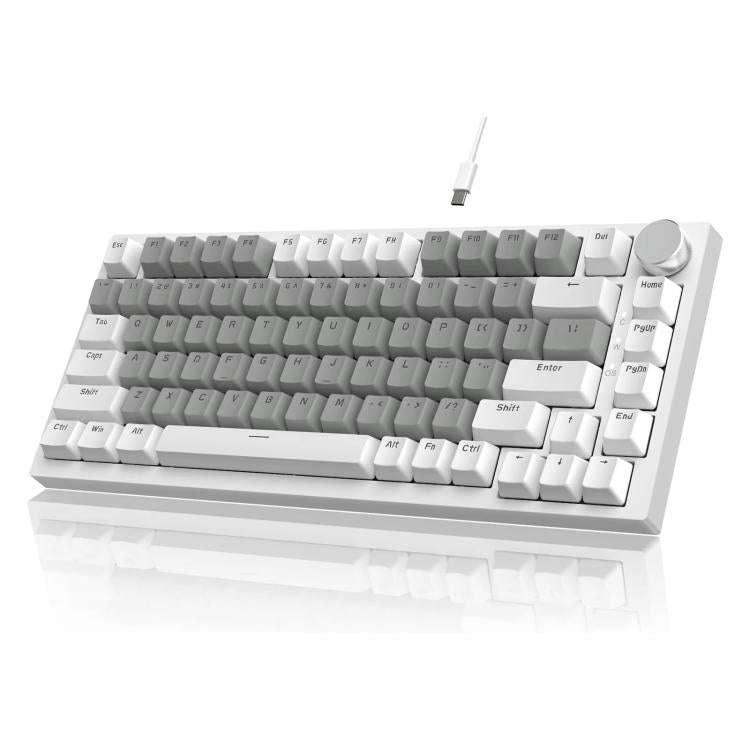 Ajazz AK820 Hot Swappable Wired Mechanical Keyboard With Light, Green Switch Ice Blue Light White...