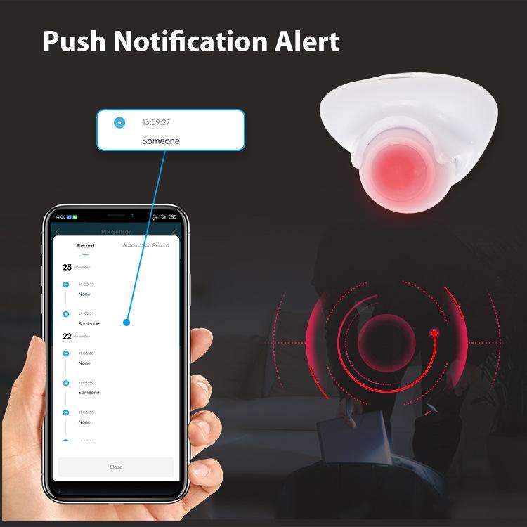 Matter Thread USB-C Power PIR Motion Sensor Smart Home System Compatible With Tuya App Remote Con...
