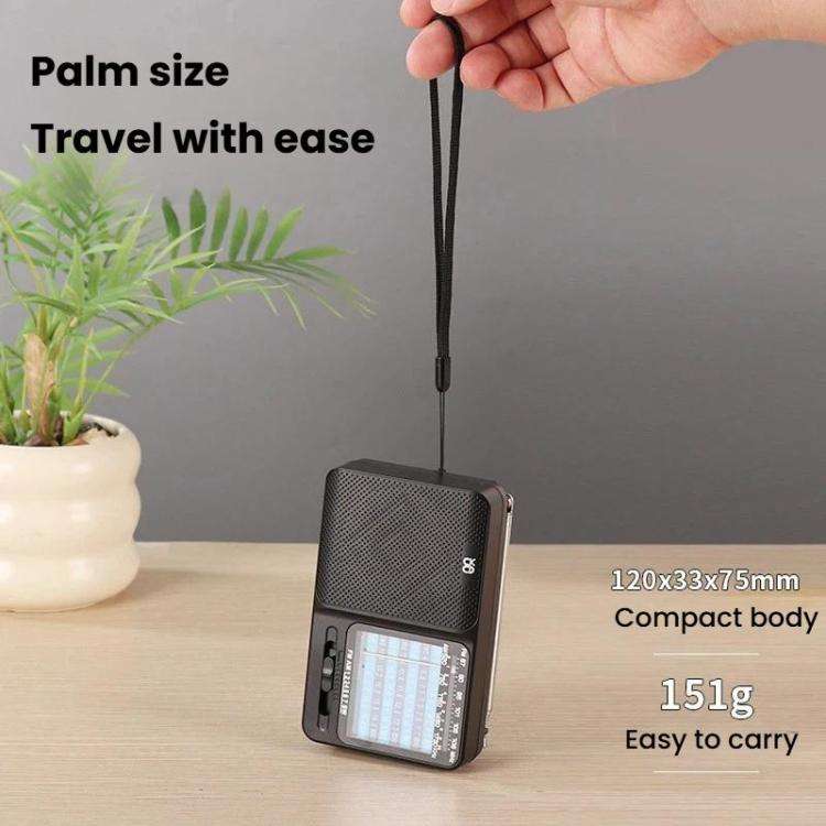 W-913 Portable Pointer Dual-Power Radio FM/AM/SW1-7 Multi-Band Radio
