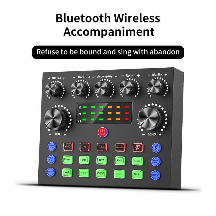 Dual BM800 Condenser Microphone with V8S Live Sound Card Kit Podcast Equipment Bundle Adjustable ...