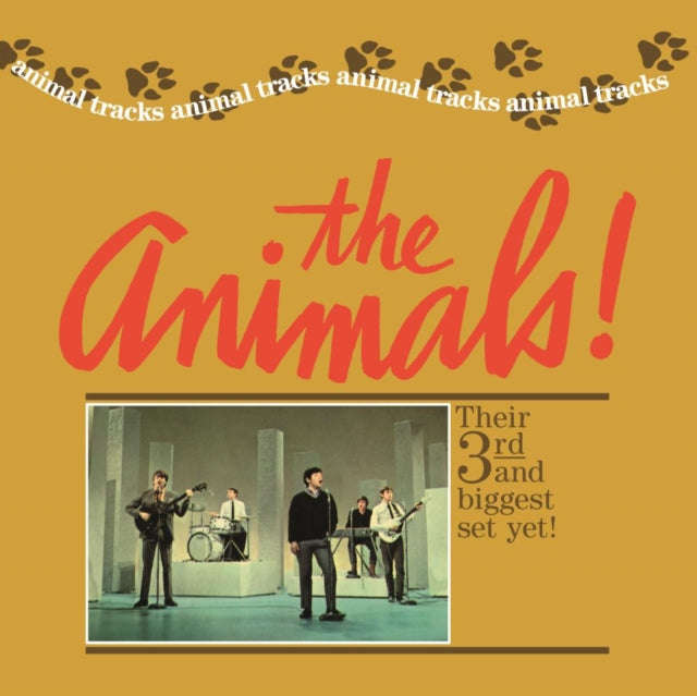 Animals - Animal Tracks (CD) (US Import)