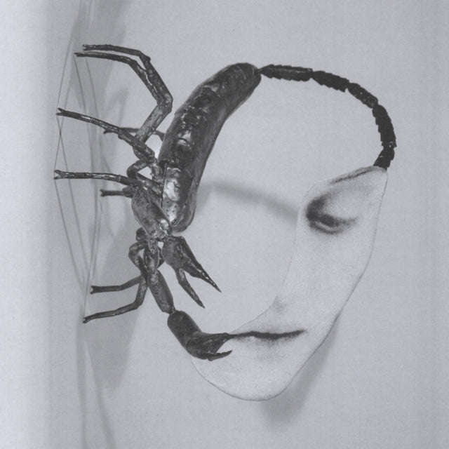 Tortoise - Touch (CD) (US Import)