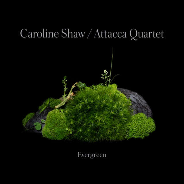 Caroline Shaw & Attacca Quartet - Caroline Shaw: Evergreen (CD) (US Import)