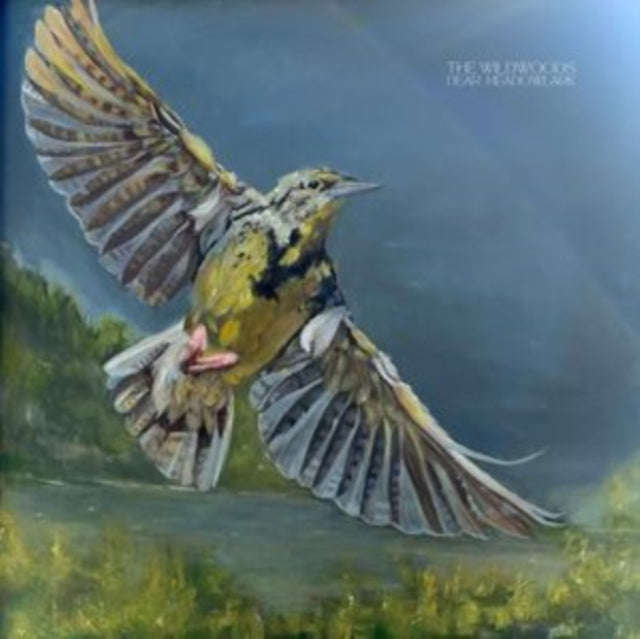 Wildwoods - Dear Meadowlark (CD) (US Import)