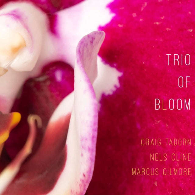 Trio Of Bloom - Trio Of Bloom (CD) (US Import)