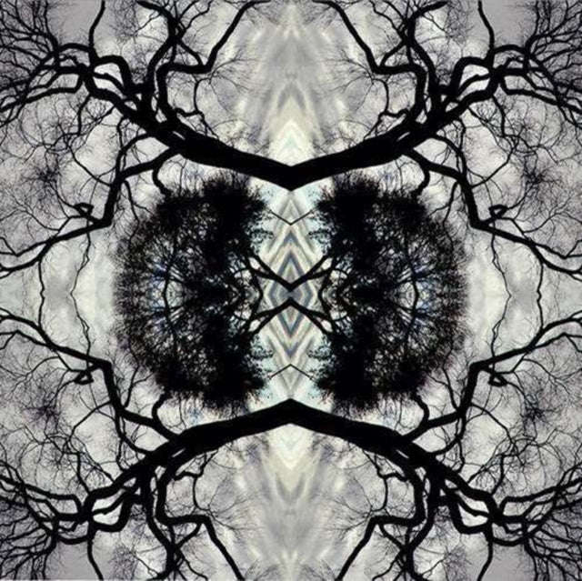 Adam Rudolph - Sonic Mandala Go: Organic Orchestra (CD) (US Import)