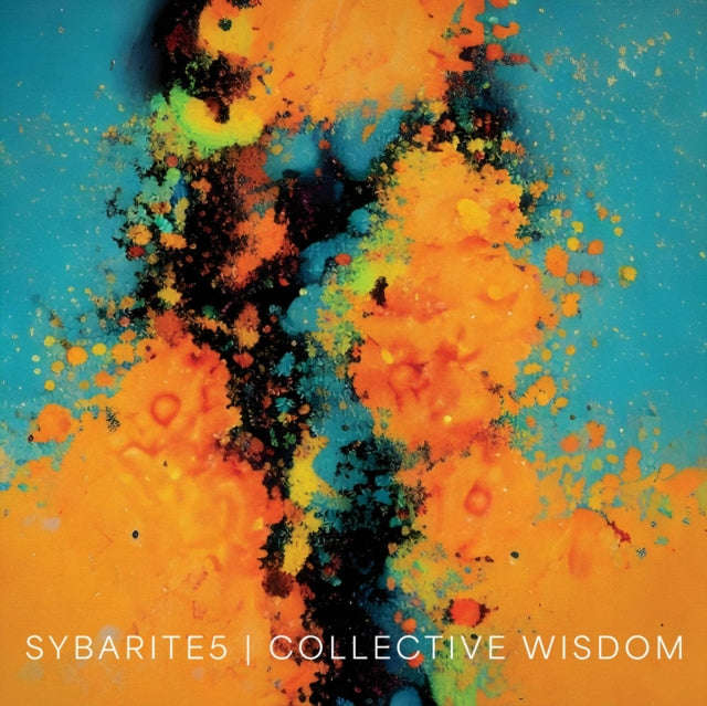 Sybarite5 - Collective Wisdom (Vinyl) (US Import)
