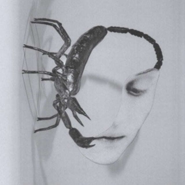 Tortoise - Touch (CD) (US Import)
