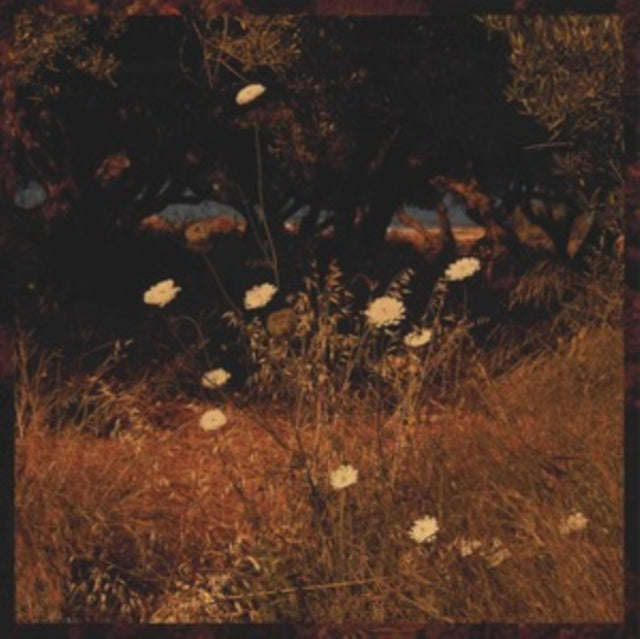 Szun Waves - Earth Patterns (CD) (US Import)