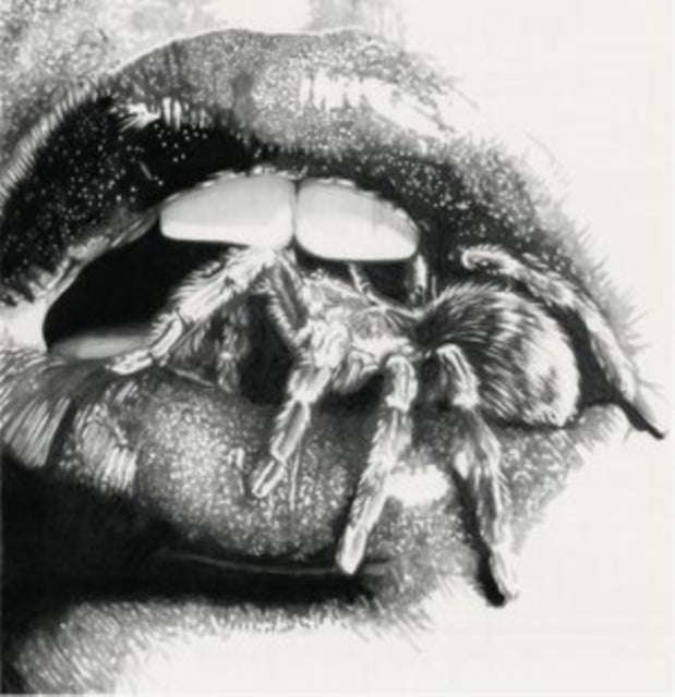 Masheena - Let The Spiders In (Vinyl) (US Import)