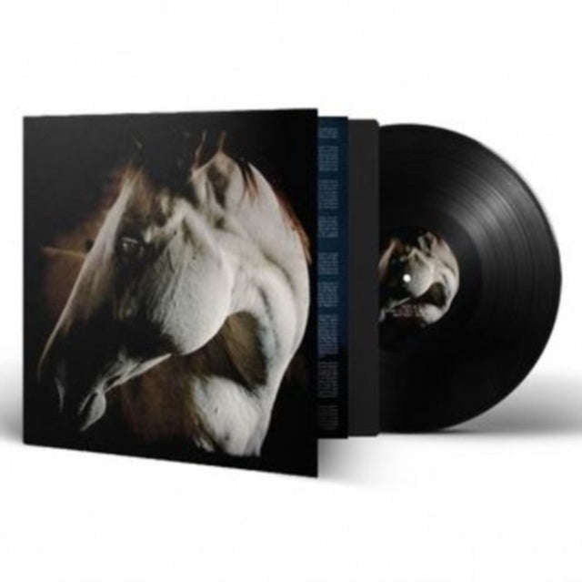 Brother Dege - How To Kill A Horse (Vinyl) (US Import)