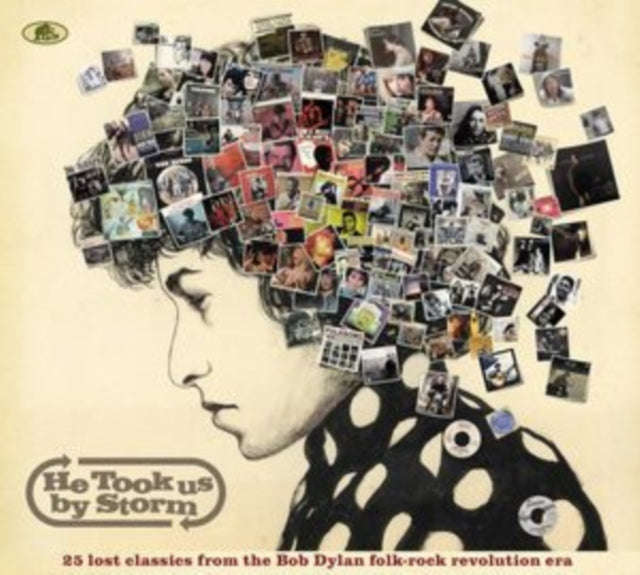 Various Artists - He Took Us By Storm: 25 Lost Classics From The Bob Dylan Folk-Rock Revolution E...