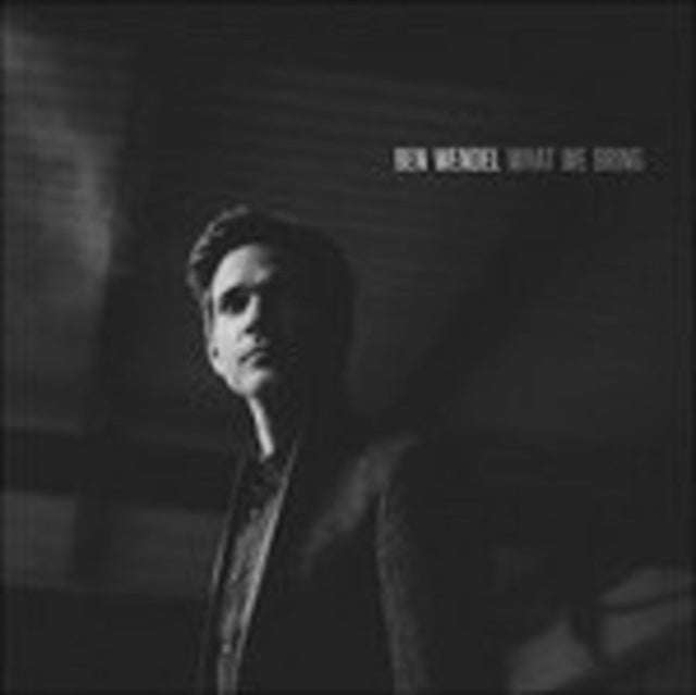 Ben Wendel - What We Bring (Bonus Track) (CD) (US Import)