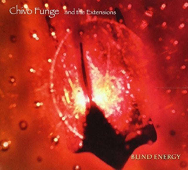 Chivo Funge & The Extensions - Blind Energy (CD) (US Import)