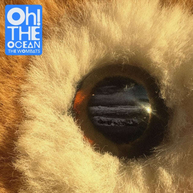 Wombats - Oh! The Ocean (CD) (US Import)