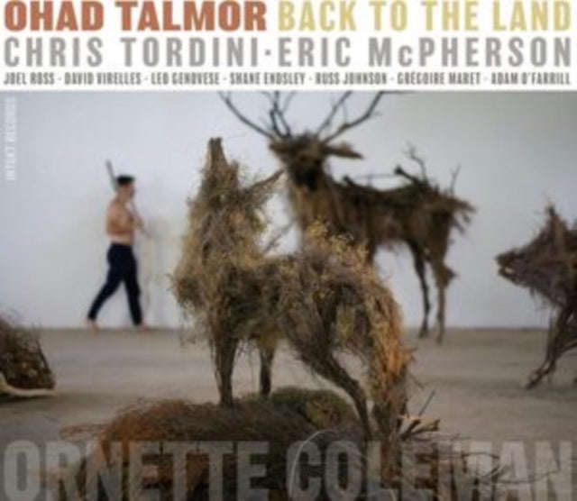 Ohad Talmor - Back To The Land (CD) (US Import)
