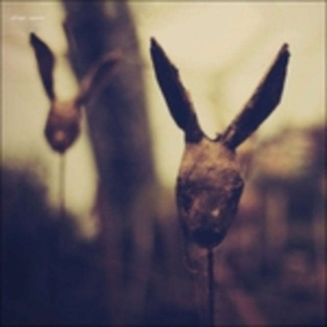 Still Light - Rosarium (CD) (US Import)
