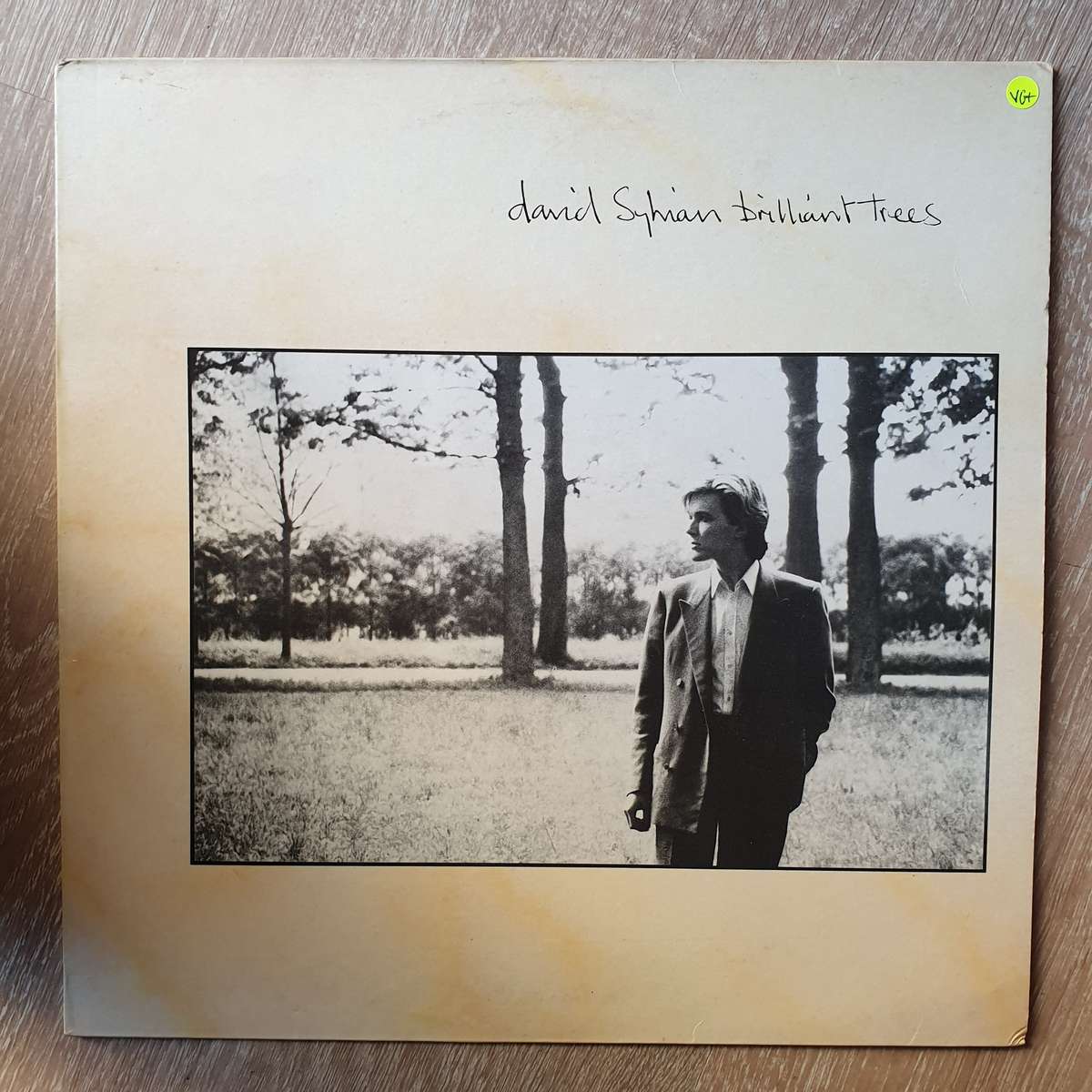 David Sylvian  Brilliant Trees (UK) - Vinyl LP Record - Opened  - Very-Good+ Quality (VG+)