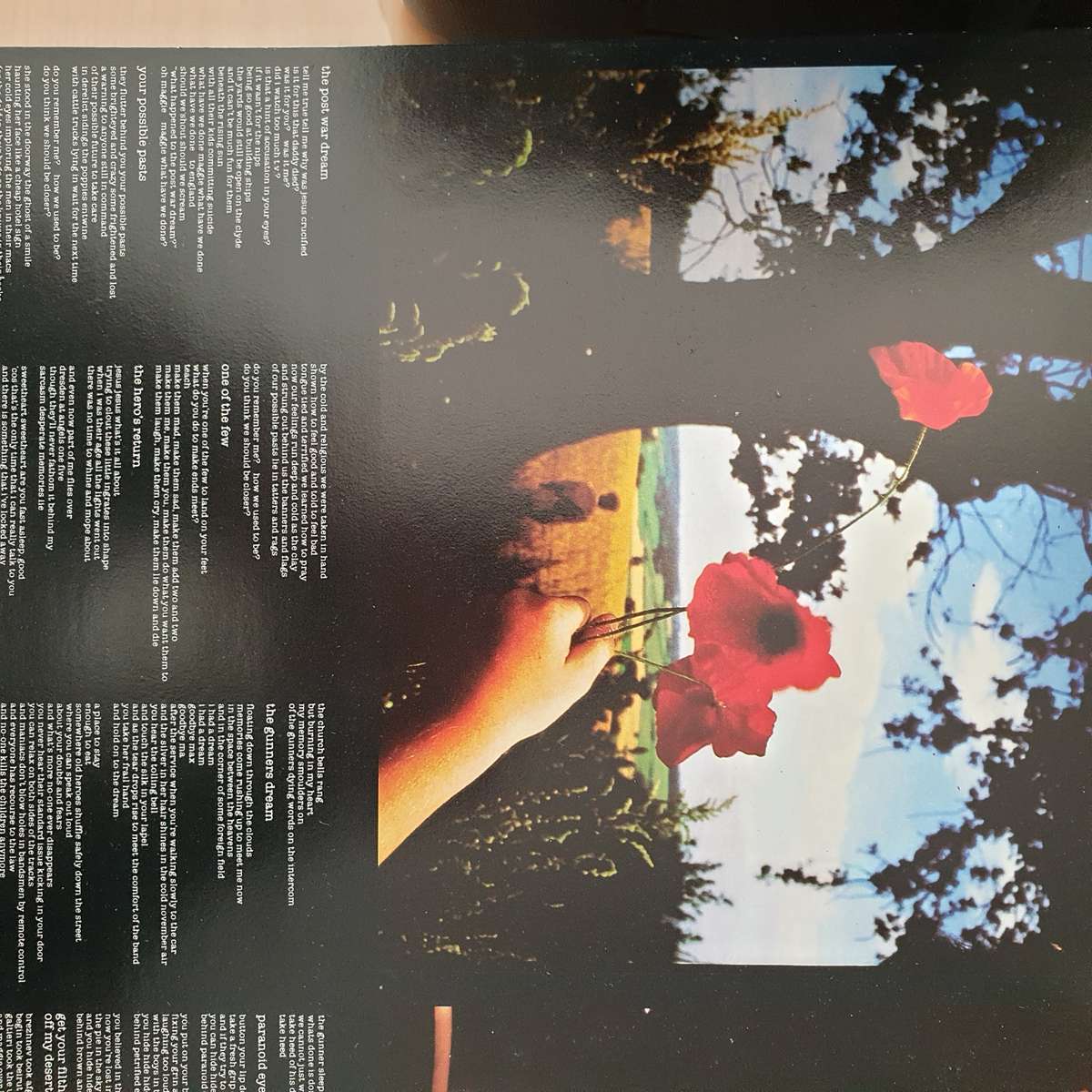 Pink Floyd  The Final Cut - Vinyl LP Record - Very-Good+ Quality (VG+) (verygoodplus)