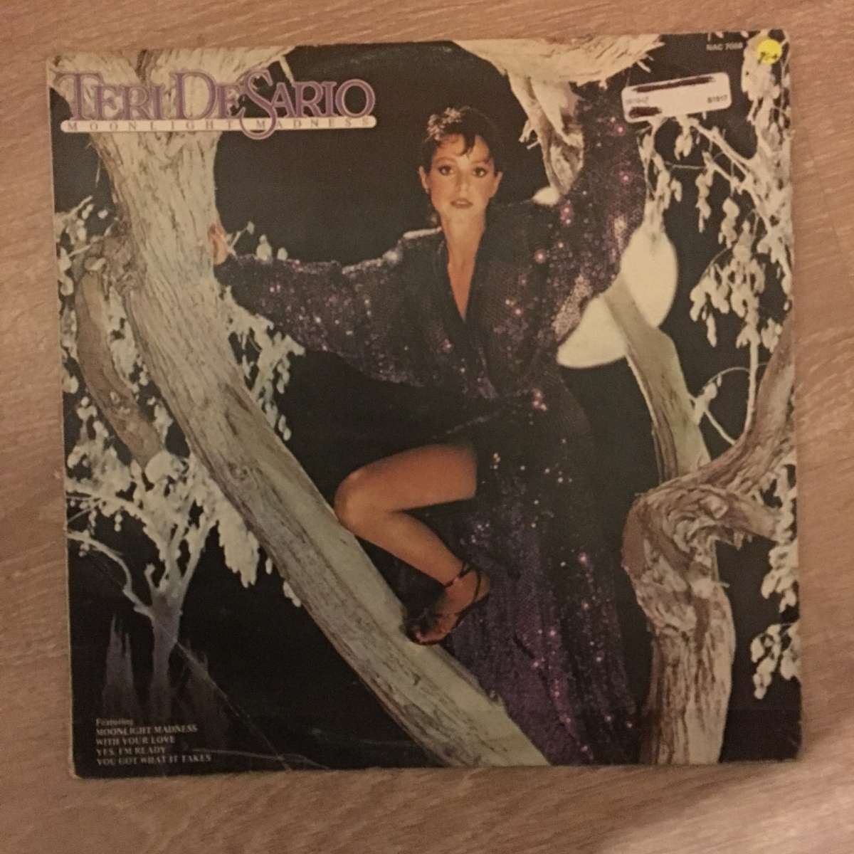 Teri DeSario - Moonlight Madness - Vinyl LP Record - Opened  - Good+ Quality (G+)
