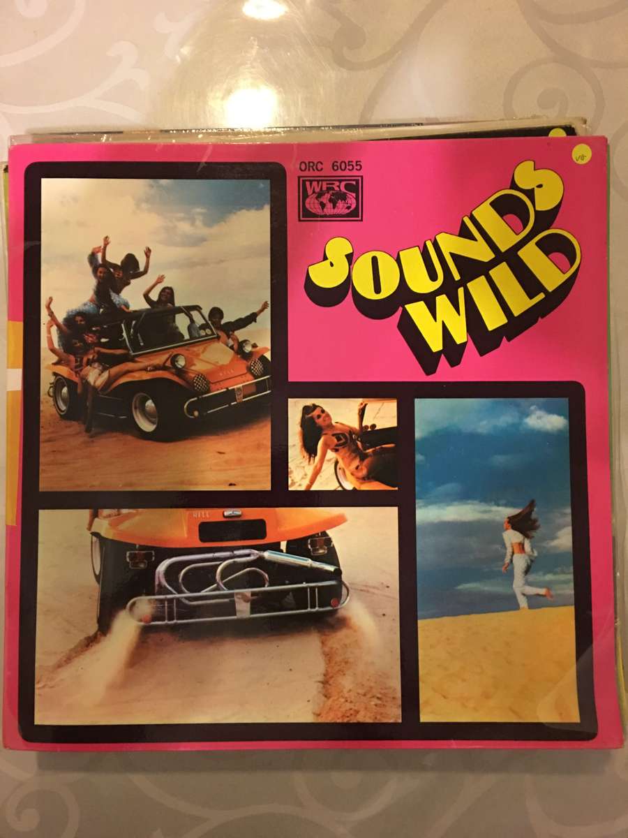 Sounds Wild -  Vinyl LP Record - Opened  - Very-Good Quality (VG)
