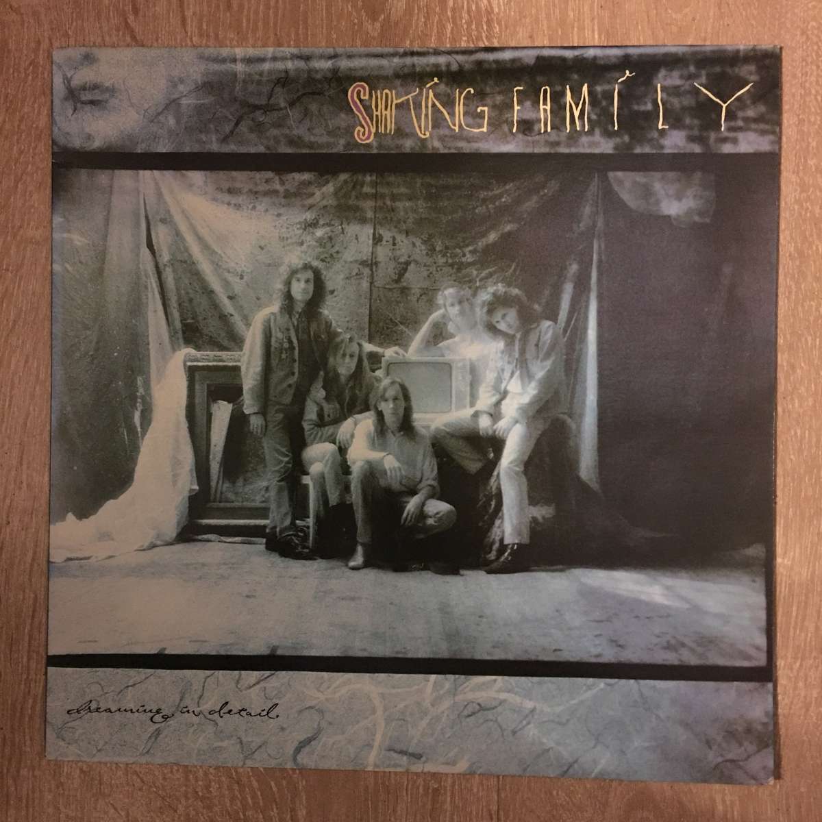 Shaking Family - Dreaming in Detail -  Vinyl LP Record - Sealed