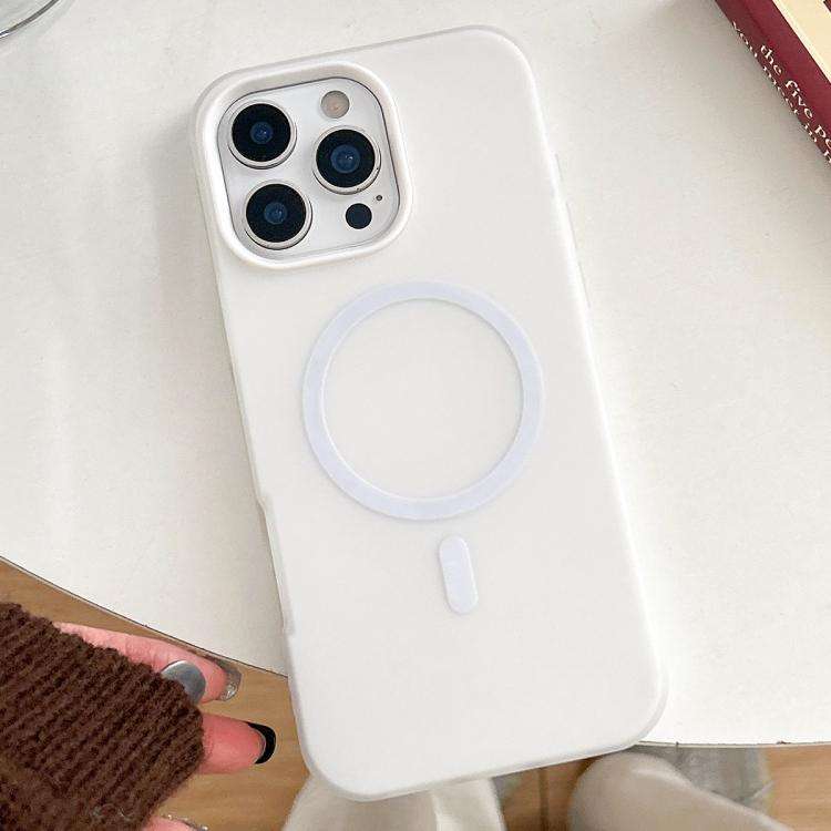 Skin Feel MagSafe Magnetic PC Hybrid TPU Phone Case, For iPhone 16 Pro Max, For iPhone 16 Pro, Fo...