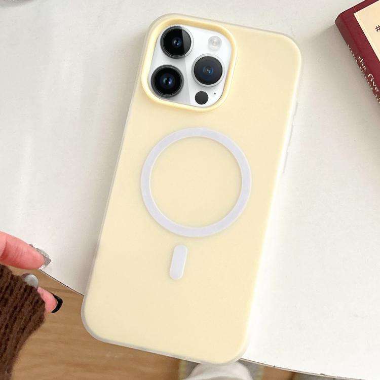 Skin Feel MagSafe Magnetic PC Hybrid TPU Phone Case, For iPhone 12 Pro, For iPhone 11