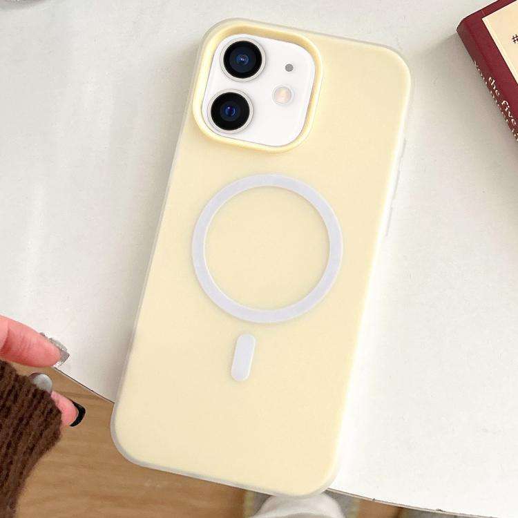 Skin Feel MagSafe Magnetic PC Hybrid TPU Phone Case, For iPhone 12 Pro, For iPhone 11