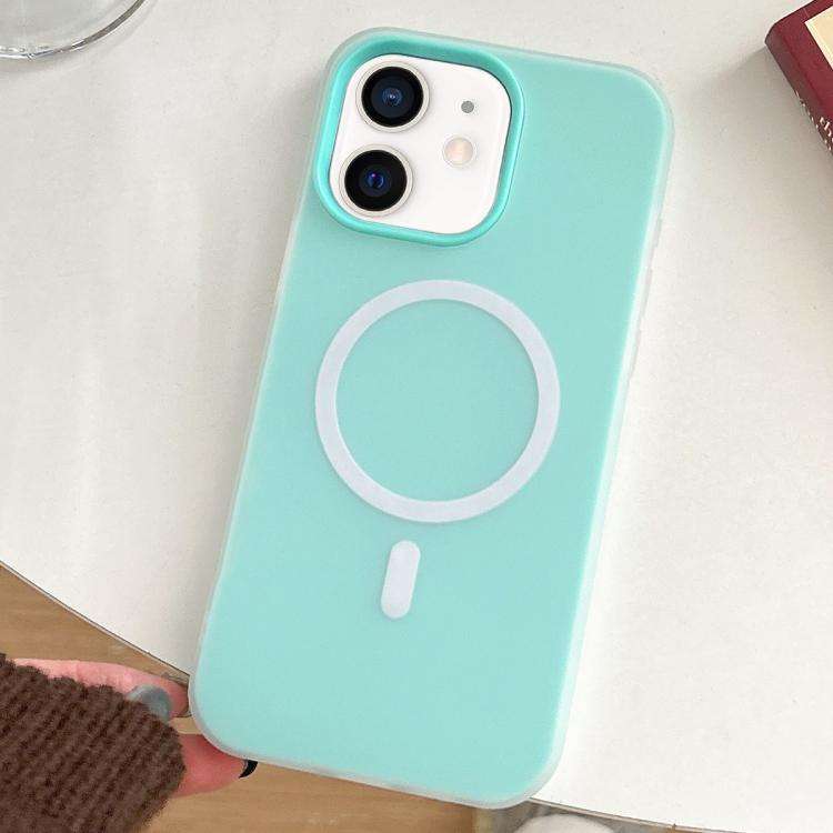 Skin Feel MagSafe Magnetic PC Hybrid TPU Phone Case, For iPhone 12 Pro, For iPhone 11