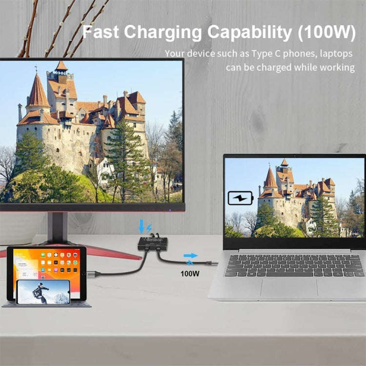 8K30 Type-C / USB-C Bidirectional Switch 10Gbps HD Splitter, KC-C201, C201 Single Machine